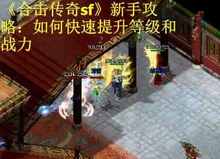 《合击传奇sf》新手攻略：如何快速提升等级和战力