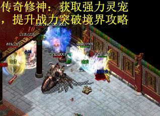 传奇修神：获取强力灵宠，提升战力突破境界攻略