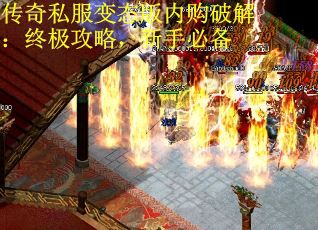 传奇私服变态版内购破解：终极攻略，新手必备