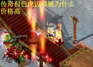 传奇白色虎齿项链为什么价格高