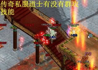 传奇私服道士有没有群攻技能