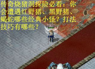 传奇烧猪洞探险必看：你会遭遇红野猪、黑野猪、蝎蛇哪些经典小怪？打法技巧有哪些？