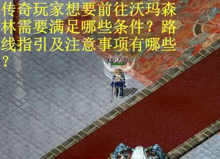传奇玩家想要前往沃玛森林需要满足哪些条件？路线指引及注意事项有哪些？