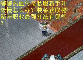 嘟嘟热血传奇私服新手升级慢怎么办？装备获取秘籍与职业最强打法有哪些？