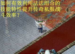 如何有效利用法法组合的技能特性提升传奇私服战斗效率？