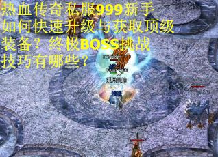 热血传奇私服999新手如何快速升级与获取顶级装备？终极BOSS挑战技巧有哪些？