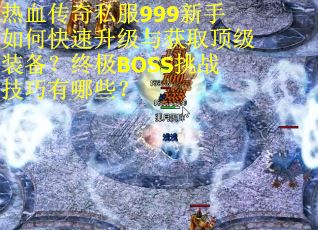 热血传奇私服999新手如何快速升级与获取顶级装备？终极BOSS挑战技巧有哪些？