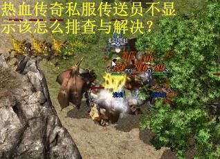 热血传奇私服传送员不显示该怎么排查与解决？