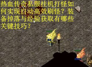热血传奇私服挂机打怪如何实现自动高效刷怪？装备掉落与经验获取有哪些关键技巧？