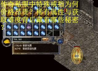 传奇私服中特殊戒指为何价格昂贵？稀有属性与获取难度背后藏着哪些秘密？