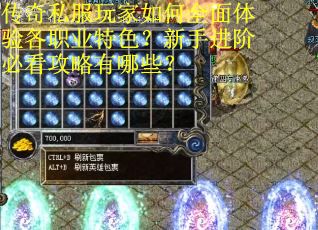传奇私服玩家如何全面体验各职业特色？新手进阶必看攻略有哪些？