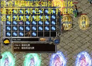 传奇私服玩家如何全面体验各职业特色？新手进阶必看攻略有哪些？