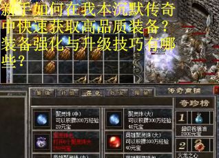 新手如何在我本沉默传奇中快速获取高品质装备？装备强化与升级技巧有哪些？