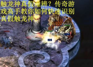 触龙神真假难辨？传奇游戏高手教你如何快速识别真假触龙神？