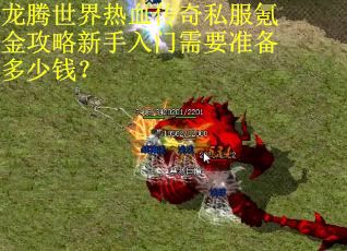 龙腾世界热血传奇私服氪金攻略新手入门需要准备多少钱？