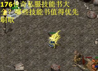 176传奇私服技能书大全？哪些技能书值得优先刷取