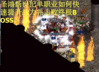 圣鸿新世纪单职业如何快速提升战力并击败终极BOSS？