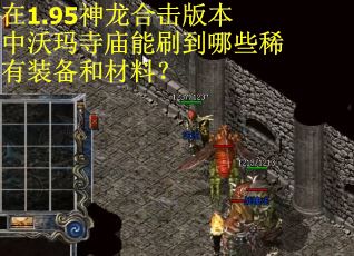 在1.95神龙合击版本中沃玛寺庙能刷到哪些稀有装备和材料？