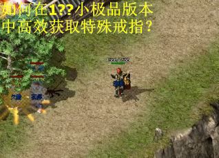 如何在1??小极品版本中高效获取特殊戒指？