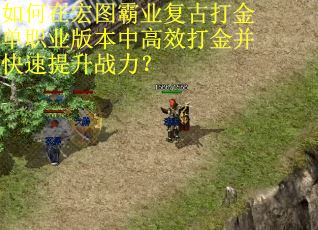 如何在宏图霸业复古打金单职业版本中高效打金并快速提升战力？
