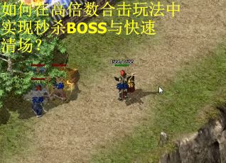 如何在高倍数合击玩法中实现秒杀BOSS与快速清场？