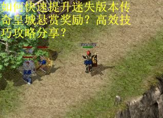 如何快速提升迷失版本传奇皇城悬赏奖励？高效技巧攻略分享？