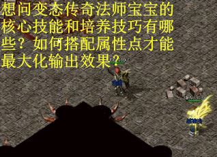 想问变态传奇法师宝宝的核心技能和培养技巧有哪些？如何搭配属性点才能最大化输出效果？